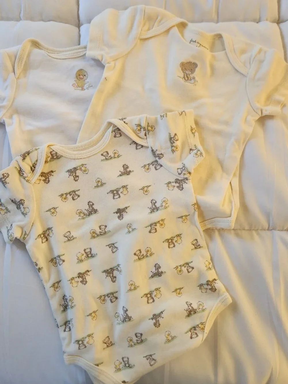 Baby Clothes: 6-9M: 3 Piece Bodysuit Set First Impressions
